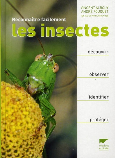 Reconnaître facilement les insectes