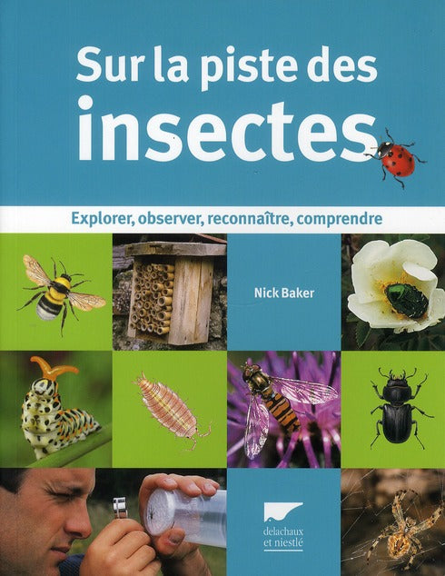 Sur la piste des insectes ; explorer, observer, reconnaître, comprendre - flash vidéo
