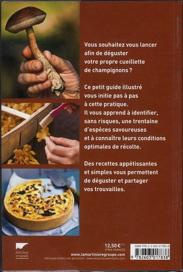Aller aux champignons ; reconnaître, cueillir, cuisiner