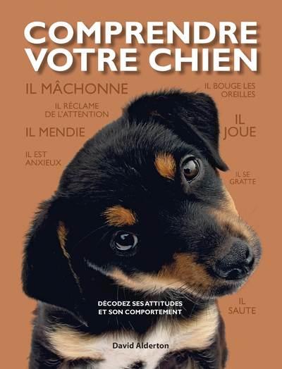 Comprendre votre chien ; décodez les attitudes et le comportement de votre chien - flash vidéo