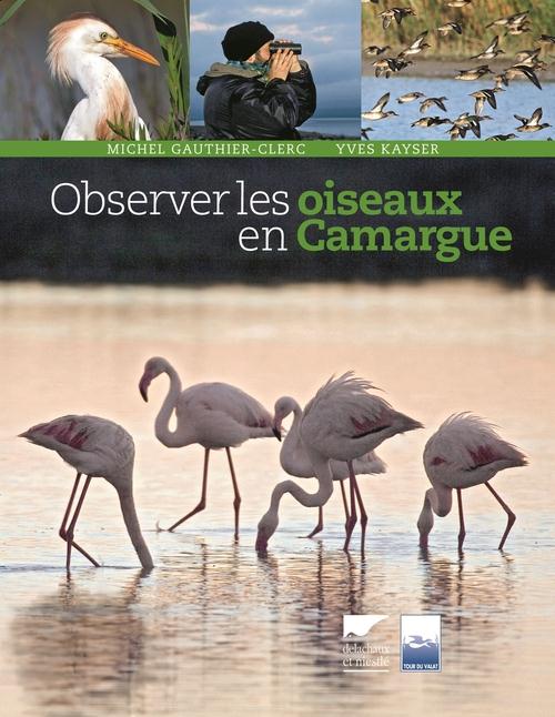 Observer les oiseaux en Camargue - flash vidéo