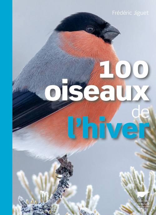 100 oiseaux de l'hiver - flash vidéo