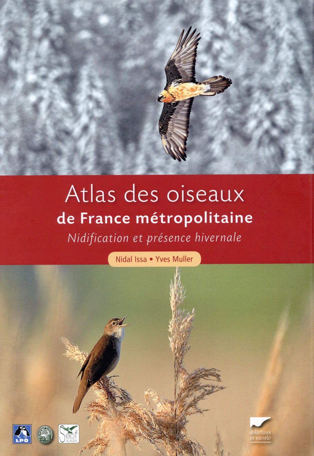 Atlas des oiseaux de France métropolitaine ; nidification et présence hivernale