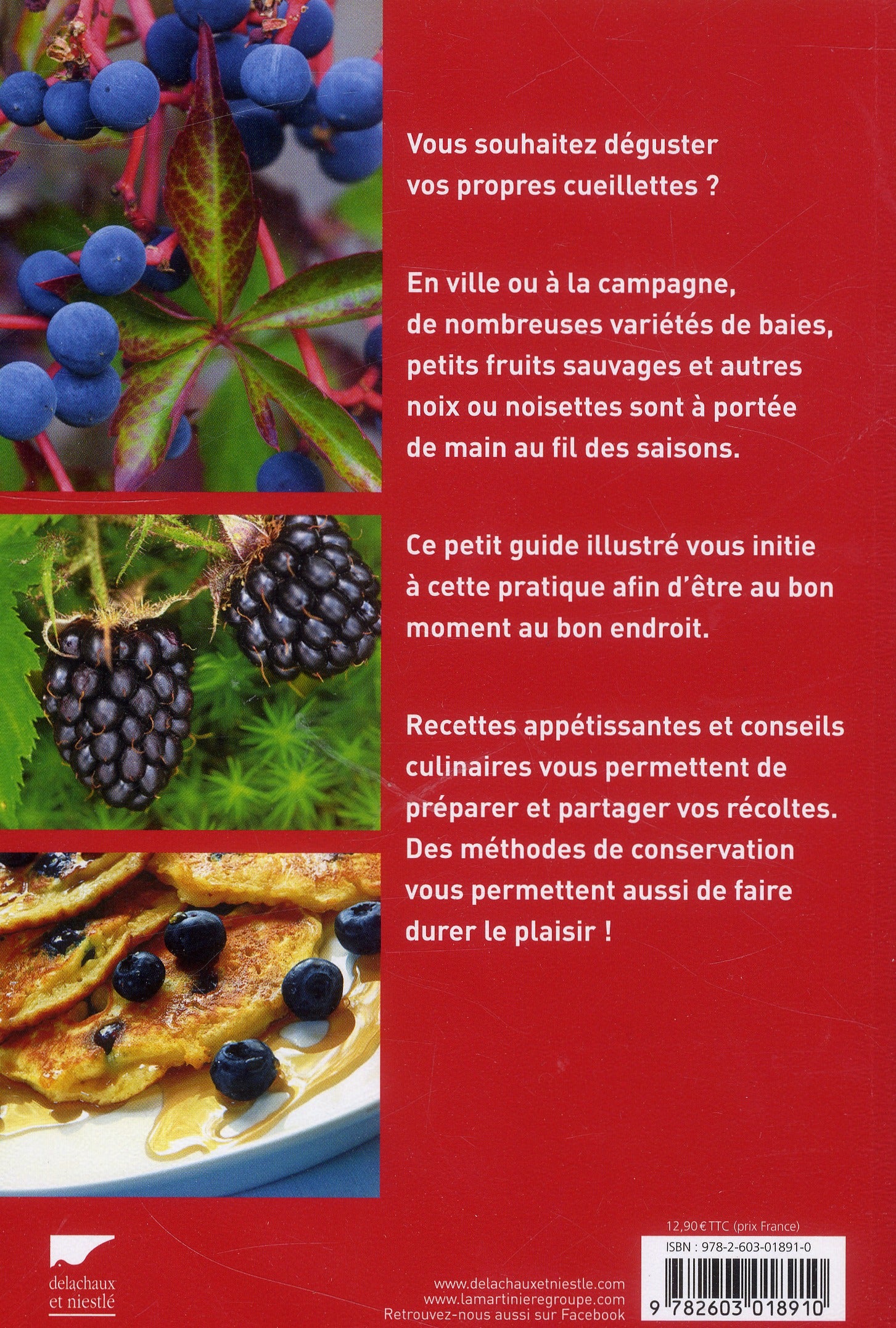 Baies et fruits sauvages comestibles ; reconnaître, cueillir, cuisiner