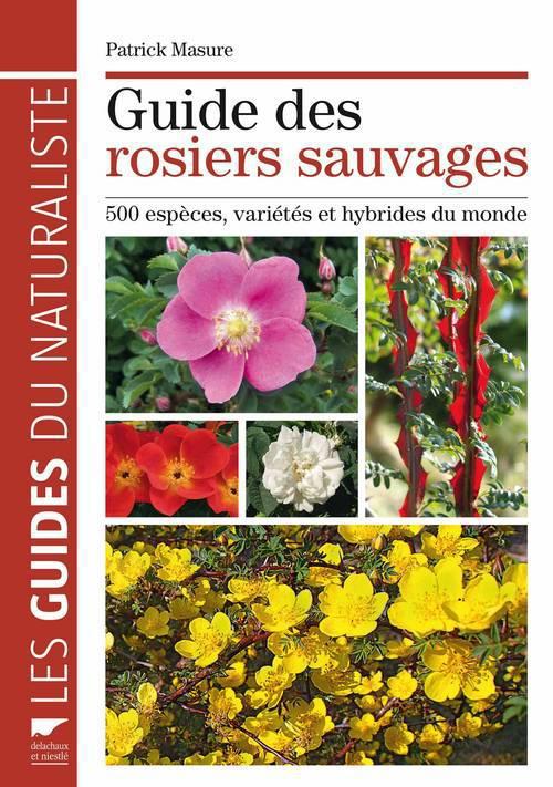 Guide des rosiers sauvages ; 500 espèces, variétés et hybrides du monde