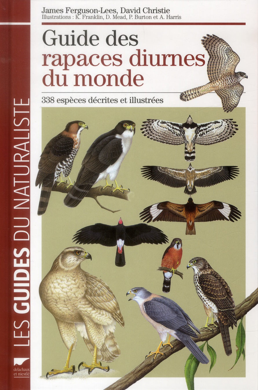 Guide des rapaces diurnes du monde ; 338 espèces décrites illustrées