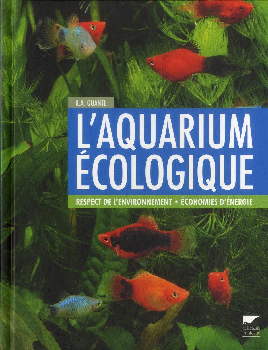 L'aquarium écologique ; respect de l'environnement ; économies d'énergie - flash vidéo