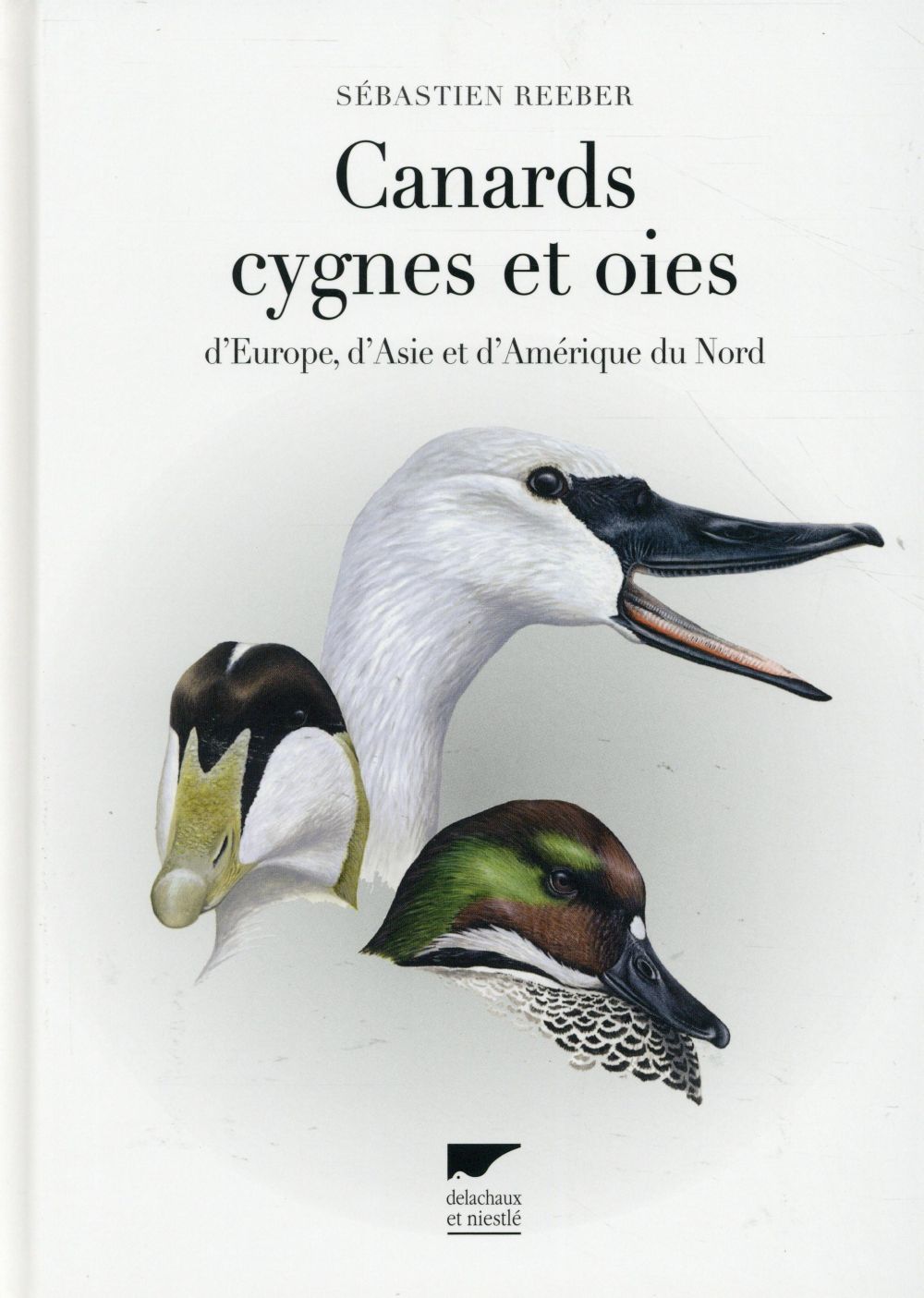 Canards, cygnes et oies d'Europe, d'Asie et d'Amérique du Nord