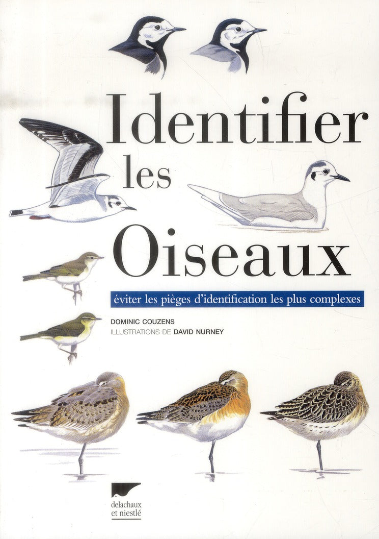 Identifier les oiseaux ; éviter les pièges d'identification les plus complexes