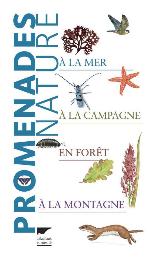 Promenades nature ; à la mer, à la campagne, en forêt, à la montagne