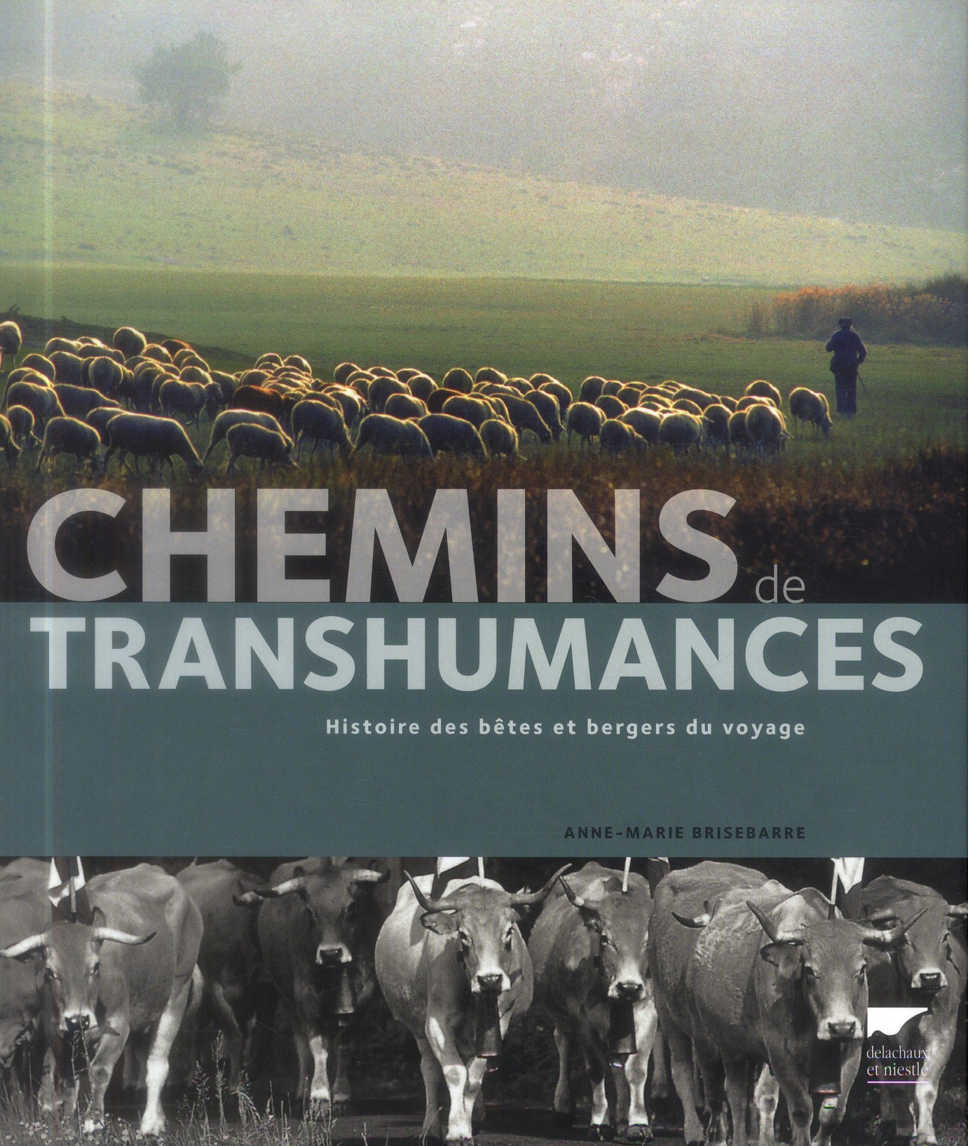 Chemins de transhumances ; histoires des bêtes et bergers du voyage