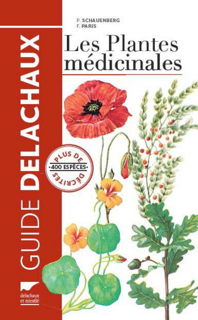 Les plantes médicinales ; plus de 400 espèces décrites - flash vidéo