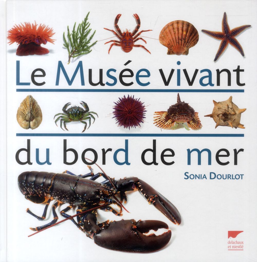 Le musée vivant du bord de mer - flash vidéo