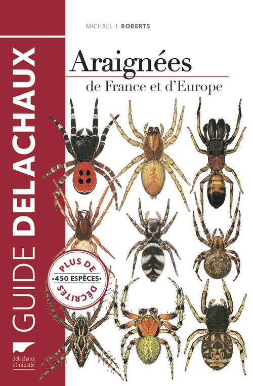 Araignées de France et d'Europe - flash vidéo