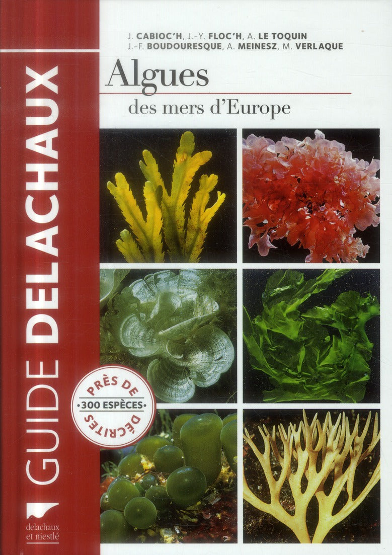 Guide des algues des mers d'Europe