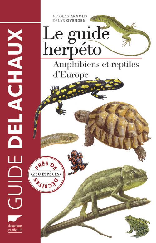 Le guide herpéto - flash vidéo