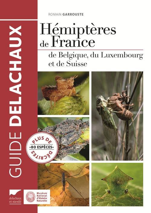 Hémiptères de France, de Belgique, du Luxembourg et de Suisse