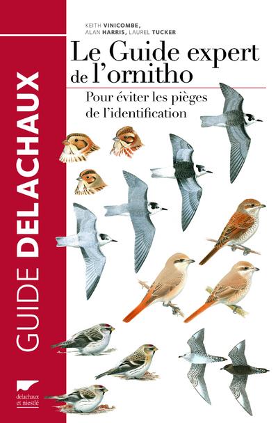 Le guide expert de l'ornitho ; pour éviter les pièges de l'identification - flash vidéo