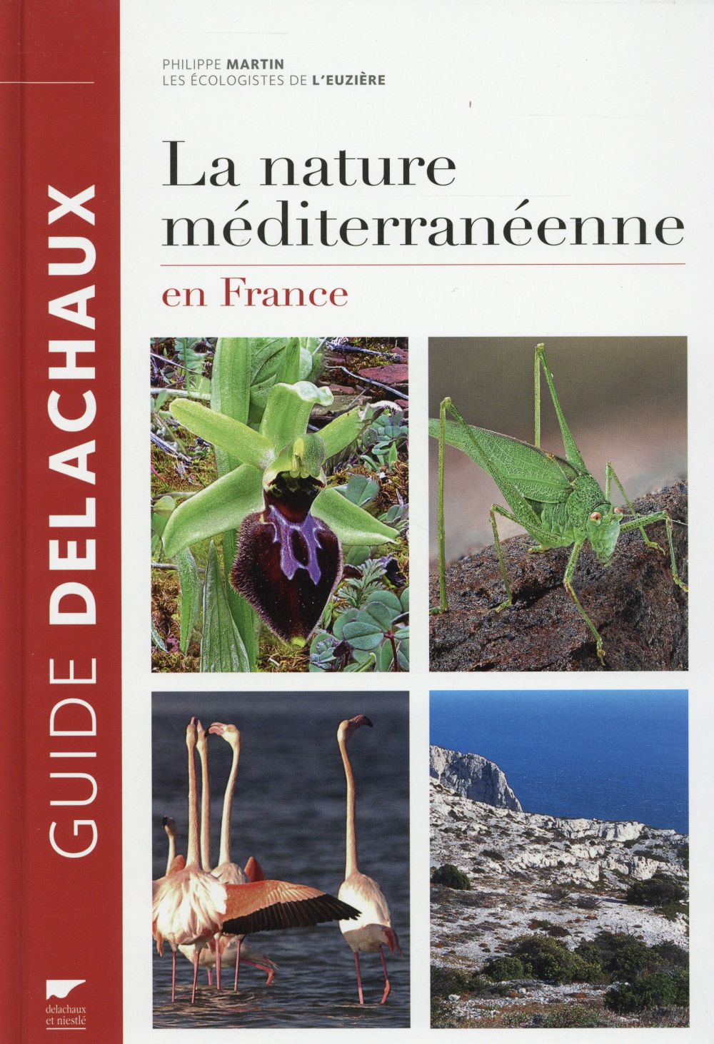 La nature méditerranéenne en France - flash vidéo