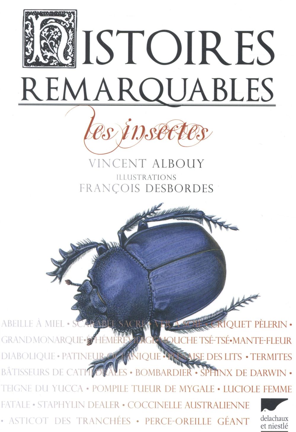 Histoires remarquables ; les insectes - flash vidéo