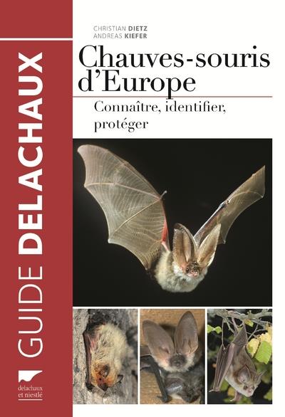 Chauves-souris d'Europe : connaître, identifier, protéger - flash vidéo
