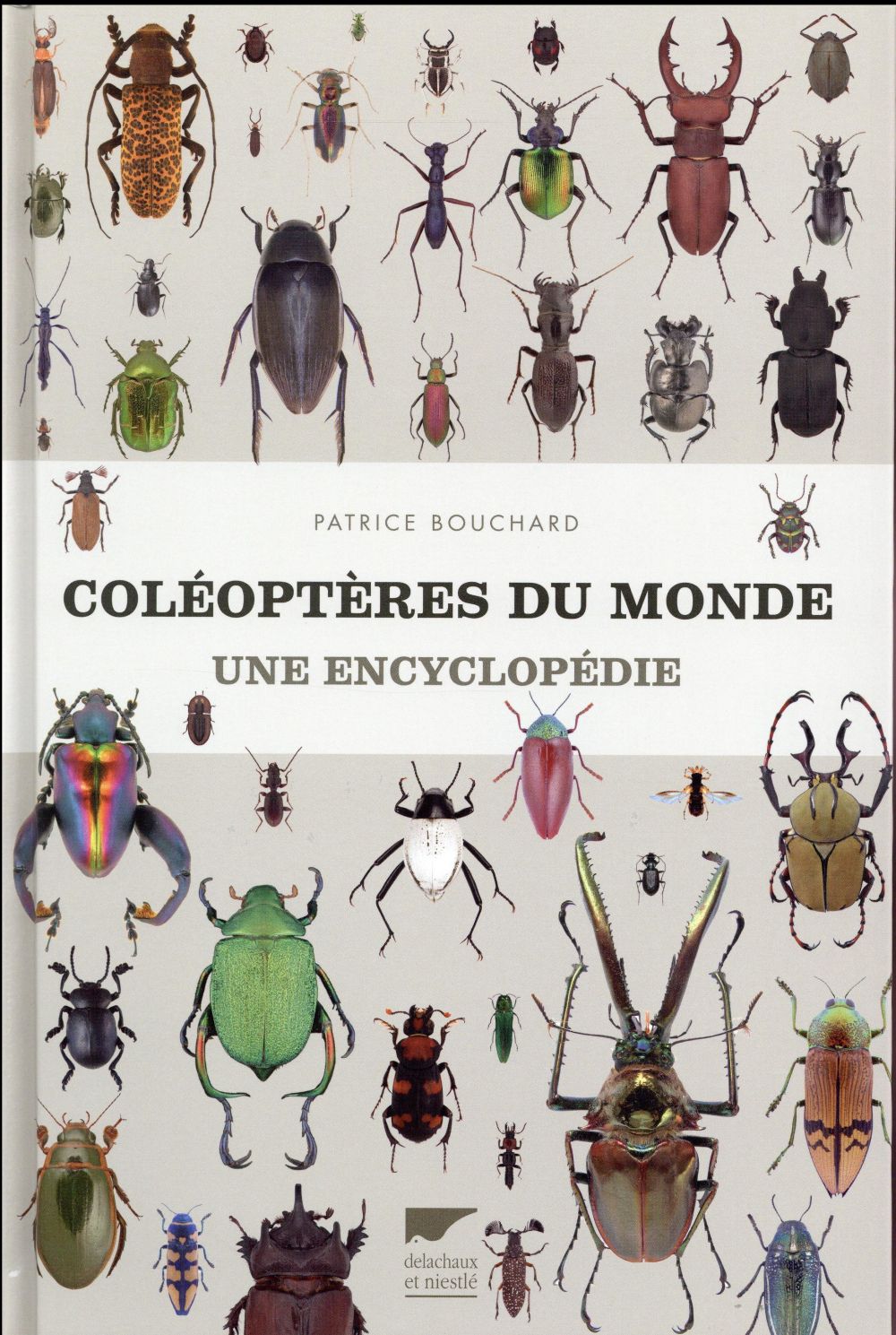 Coléoptères du monde ; une encyclopédie