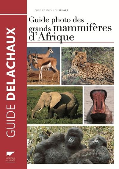 Guide photo des grands mammifères d'Afrique - flash vidéo