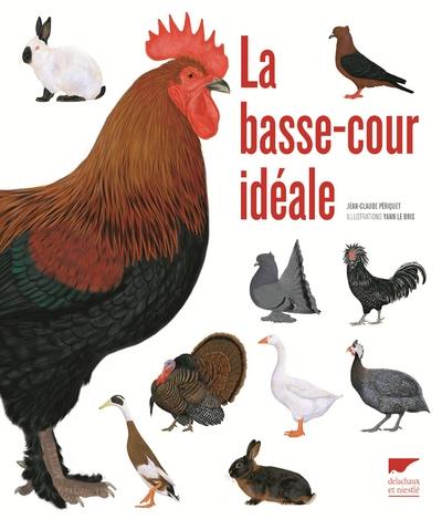 La basse-cour idéale - flash vidéo