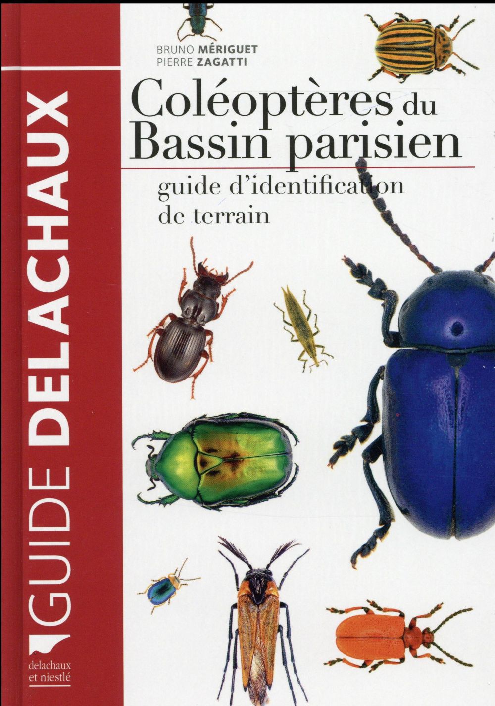 Coléoptères du bassin parisien ; guide d'identification de terrain