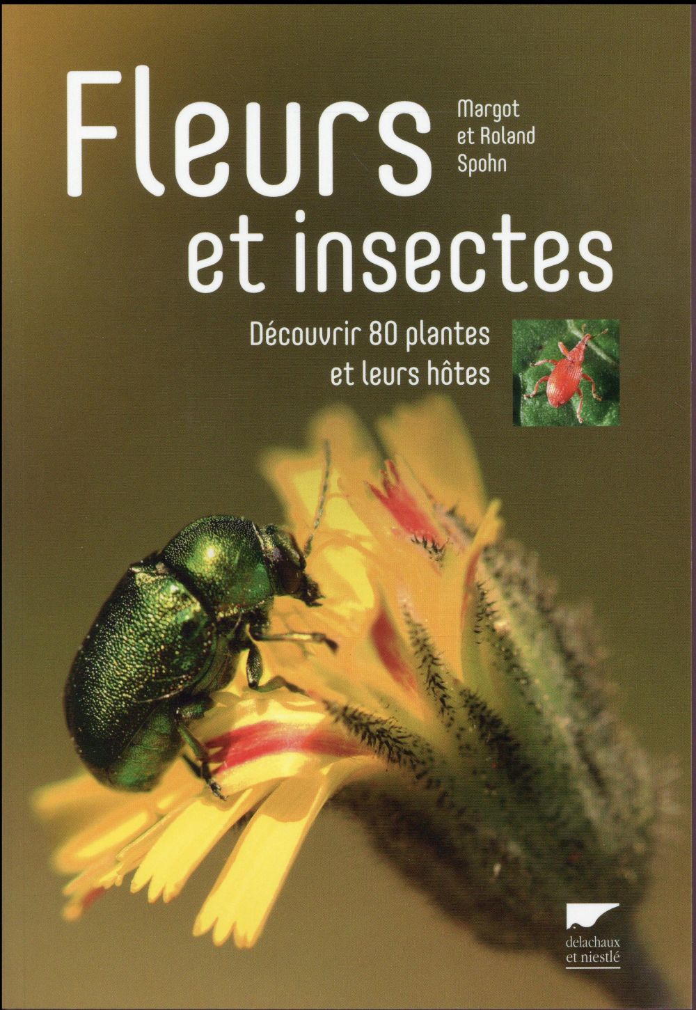 Fleurs et insectes ; découvrir 80 plantes et leurs hôtes