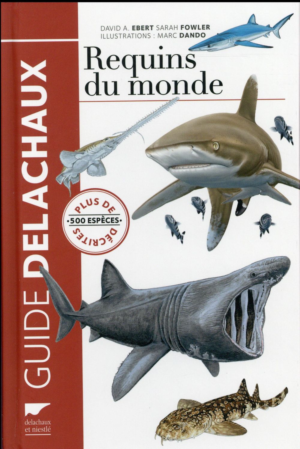 Requins du monde ; plus de 500 espèces décrites