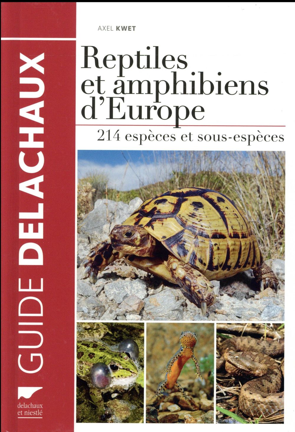 Reptiles et amphibiens d'Europe ; 214 espèces et sous-espèces