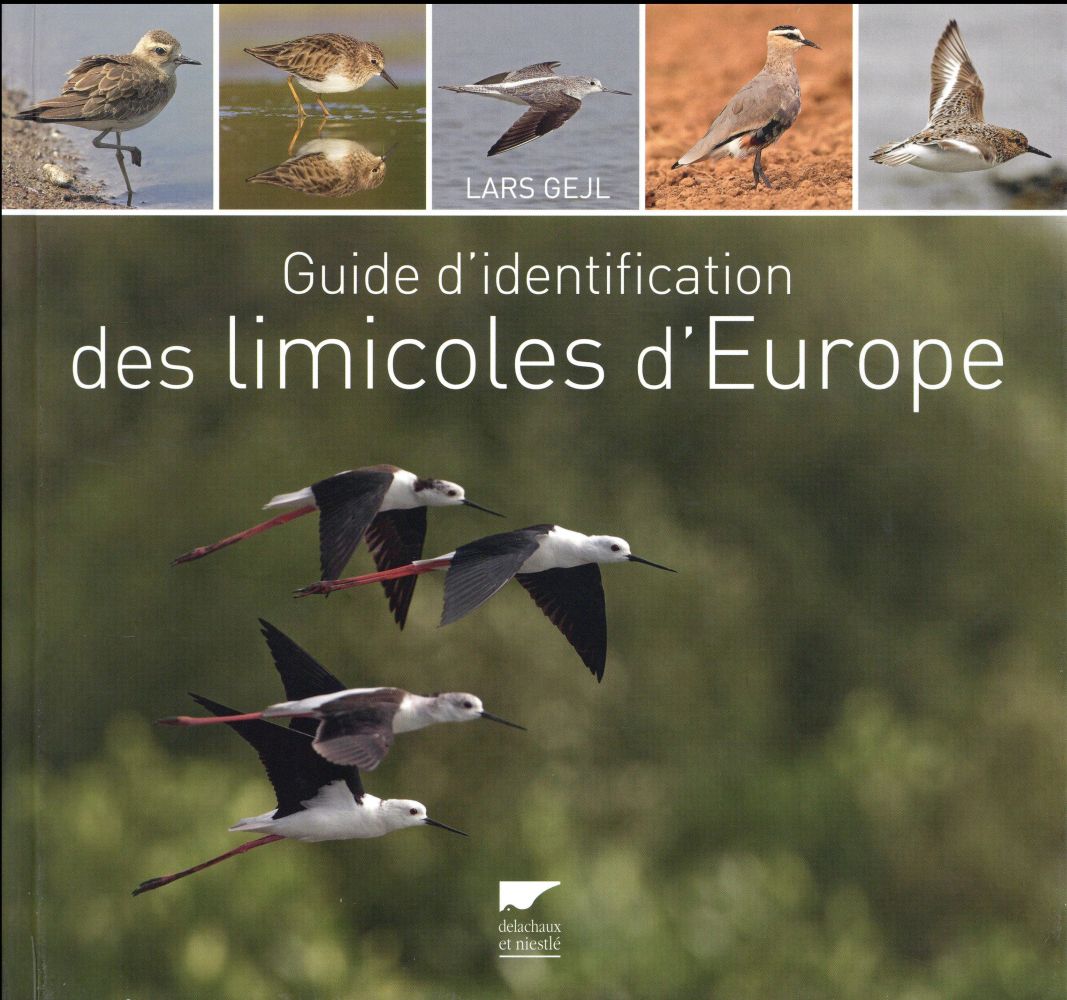 Guide d'identification des limicoles d'Europe