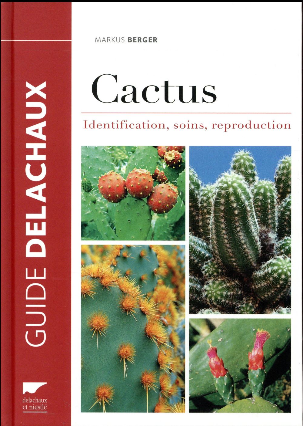Cactus ; identification, soins, reproduction