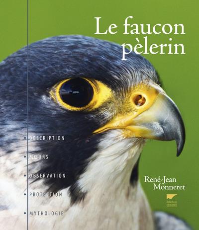 Le faucon pèlerin ; description, moeurs, observation, protection, mythologie