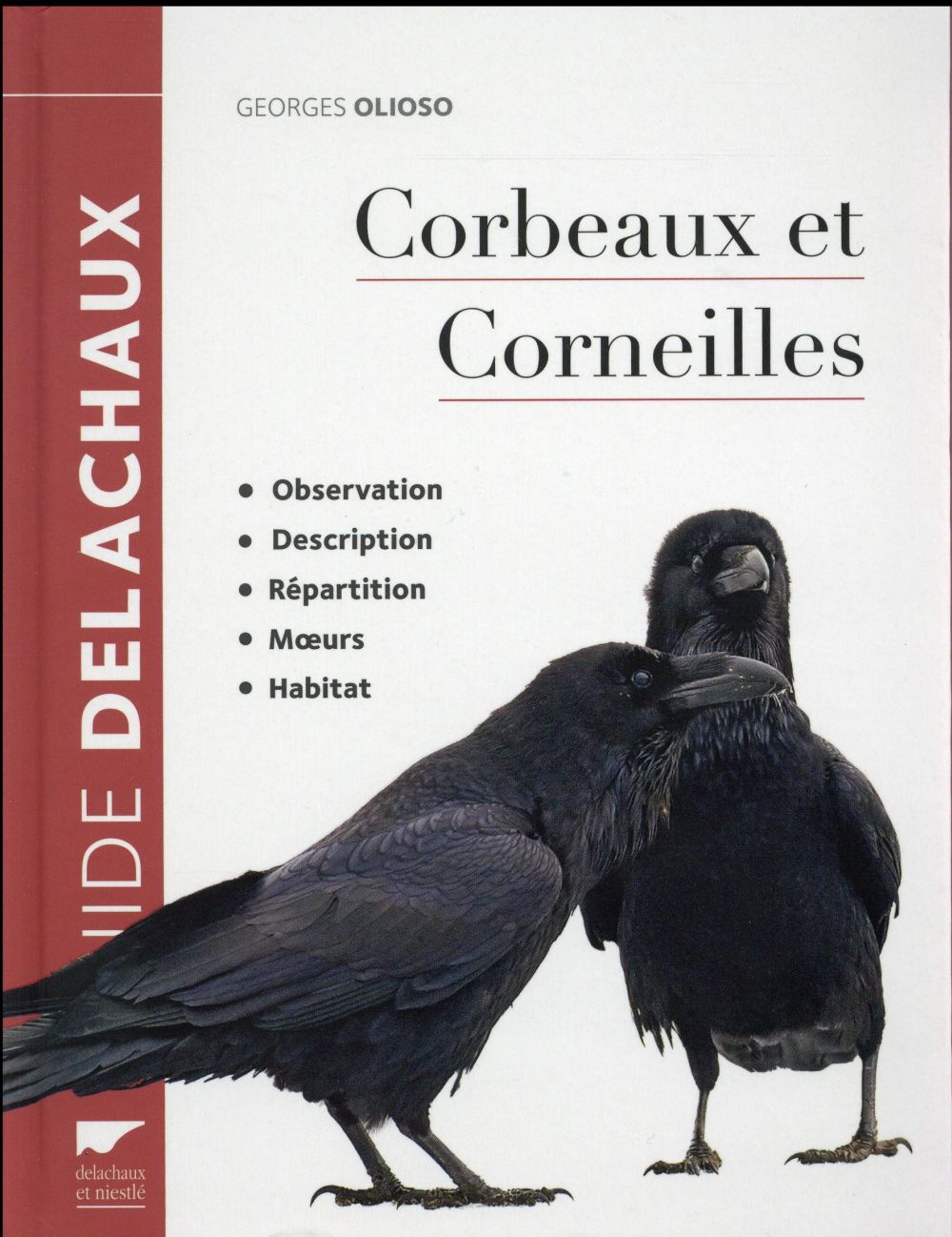 Corbeaux et corneilles