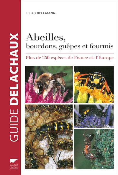 Abeilles, bourdons, guêpes et fourmis ; plus de 250 espèces de France et d'Europe