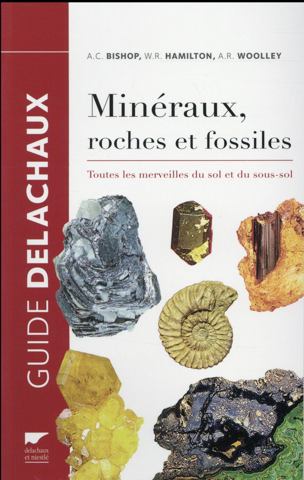 Minéraux, roches et fossiles ; toutes les merveilles du sol et du sous-sol - flash vidéo