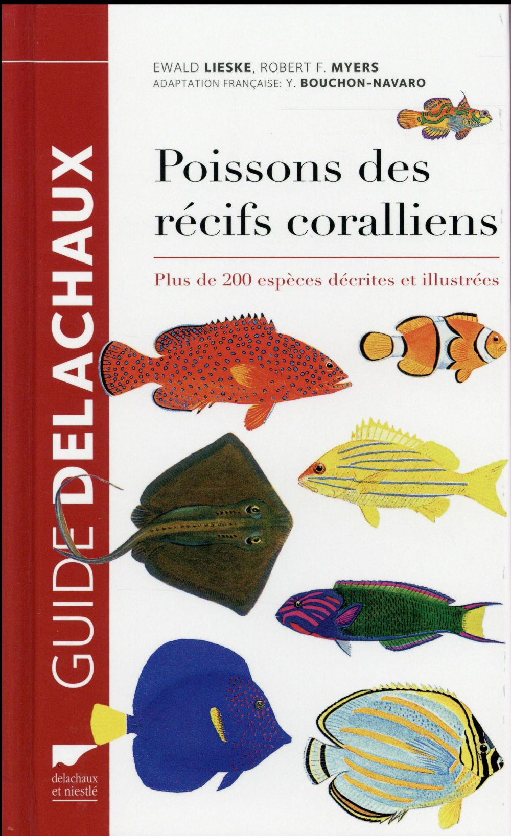 Poissons des recifs coralliens ; plus de 200 espèces décrites et illustrées - flash vidéo