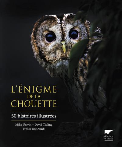 L'énigme de la chouette ; 50 histoires illustrées - flash vidéo