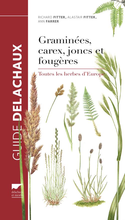 Graminees, carex, joncs et fougeres (reedition) - toutes les herbes d'europe - flash vidéo