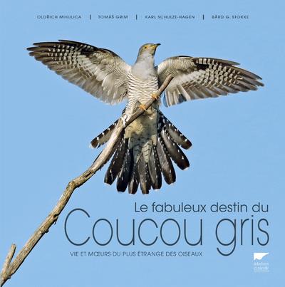 Le fabuleux destin du coucou gris ; vie et moeurs du plus étrange des oiseaux - flash vidéo