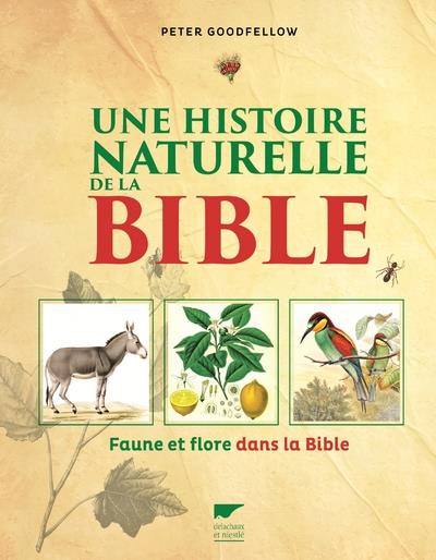 Une histoire naturelle de la Bible ; faune et flore dans la Bible - flash vidéo