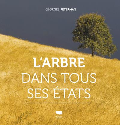 L'arbre dans tous ses états - flash vidéo