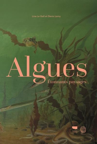 Algues ; étonnants paysages - flash vidéo