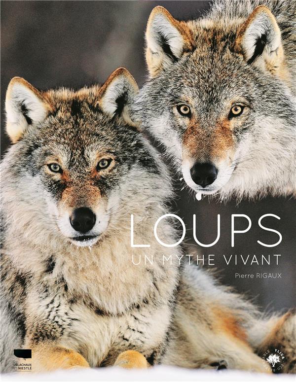 Loups ; un mythe vivant - flash vidéo