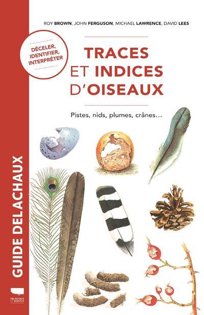 Traces et indices d'oiseaux ; pistes, nids, plumes, crânes...