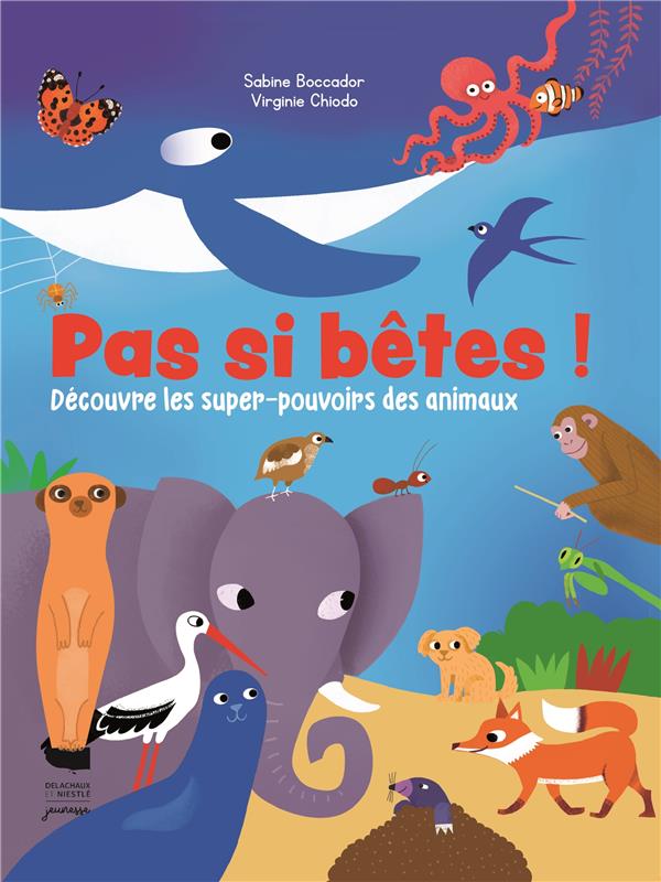 Pas si bêtes ! - flash vidéo