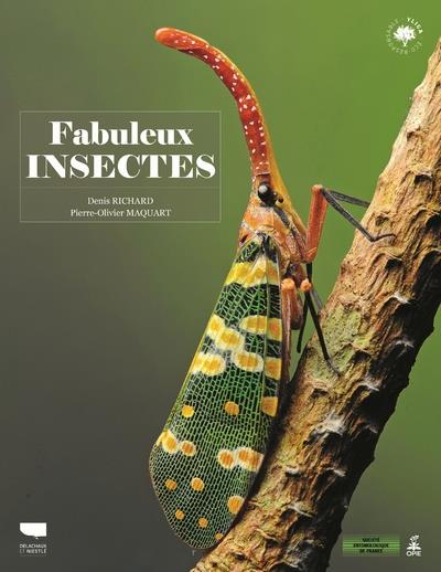 Fabuleux insectes - flash vidéo