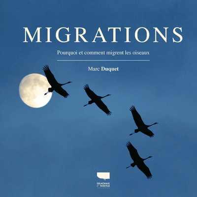 Migrations : pourquoi et comment migrent les oiseaux - flash vidéo
